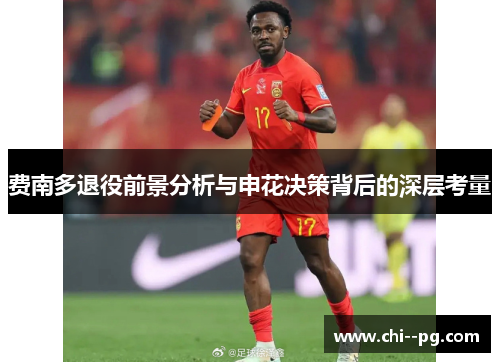 费南多退役前景分析与申花决策背后的深层考量