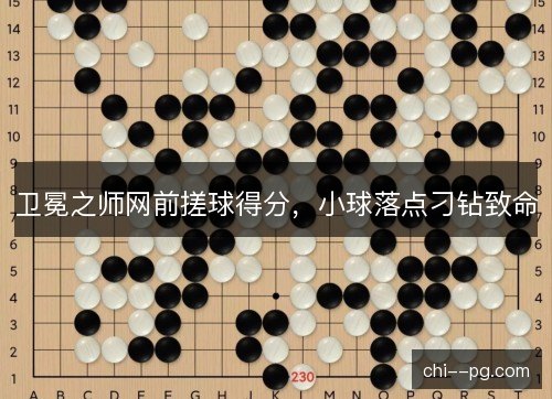 卫冕之师网前搓球得分，小球落点刁钻致命