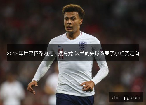 2018年世界杯乔内克自摆乌龙 波兰的失球改变了小组赛走向